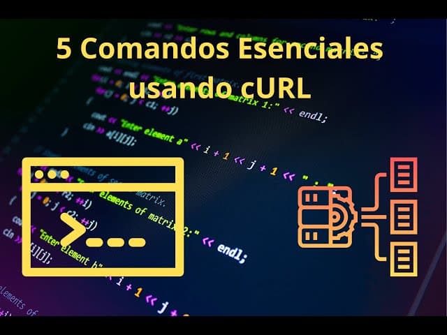 Curl-friendliness: Guía esencial para el desarrollo web