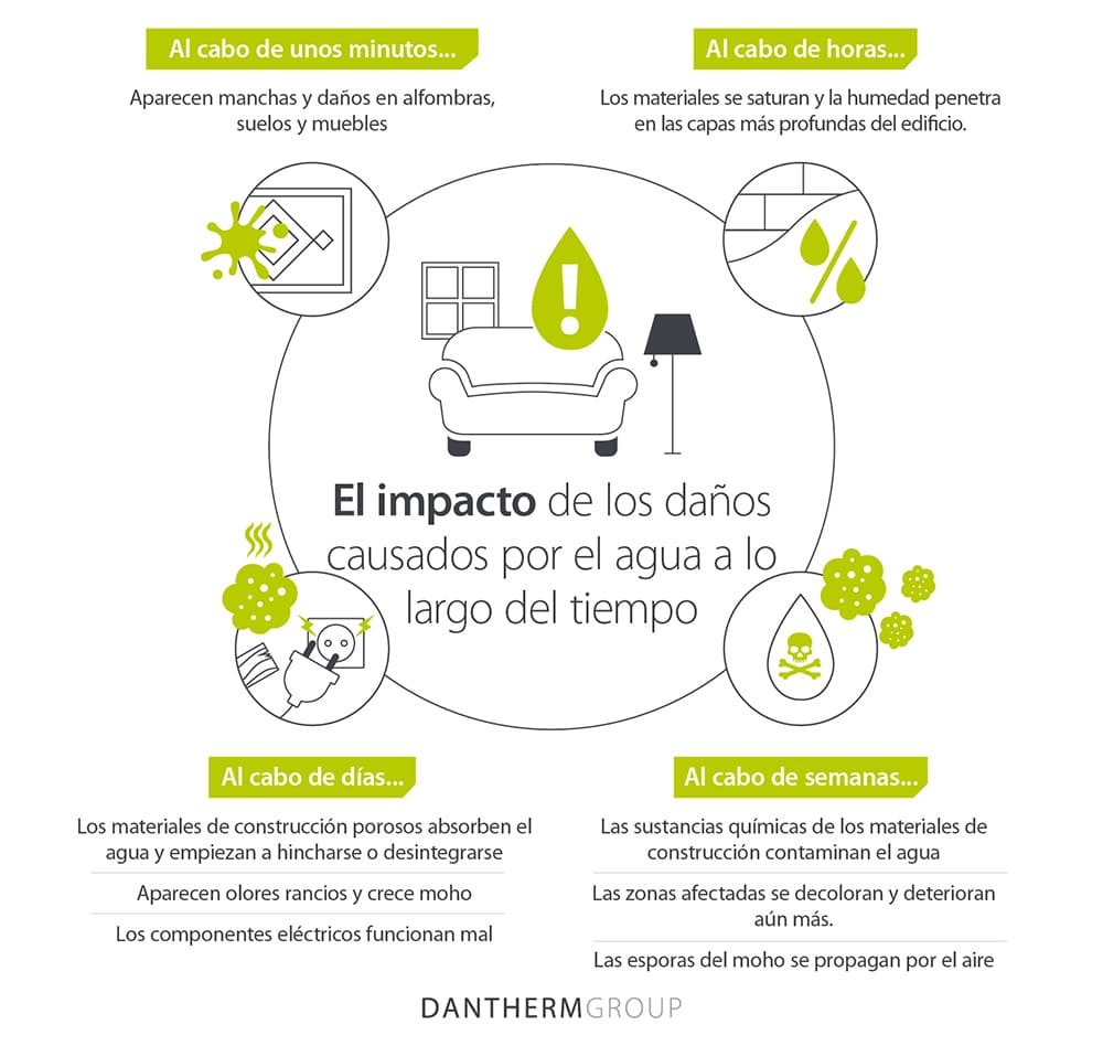 Influencia del Agua en el Proceso de Secado Eficiente