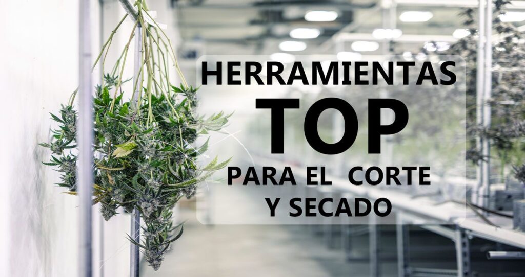 Qué herramientas son imprescindibles para un buen secado